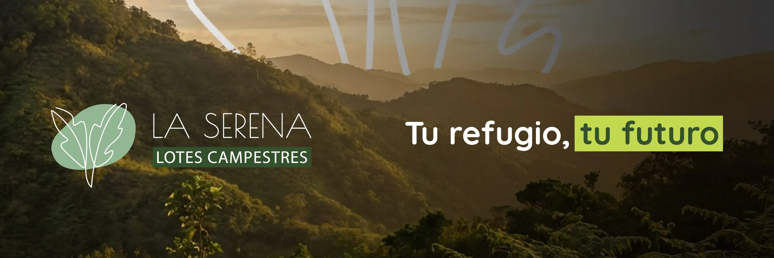 Piezas web_1200-400.jpg